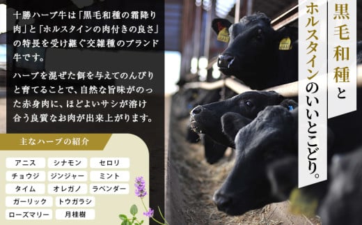 アイテムID:320206の画像5枚目