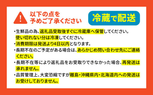 国産 三元豚 豚肉 豚ヒレ肉 ひれ ヒレ肉 切り落とし トンカツ とんかつ