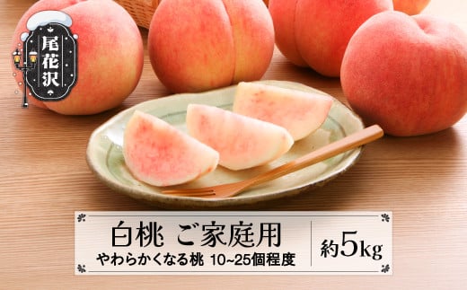 先行予約 訳あり 桃 白桃 約5kg (10～25個程度) 無印品 8月上旬頃~発送 山形県産 フルーツ 果物 くだもの 2025年産 令和7年産 佐竹物産 sb-mohtw5 2112689 - 山形県尾花沢市