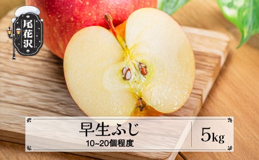 先行予約 りんご 早生ふじりんご 5kg (10～20個程度) 秀品 9月下旬頃~発送 2025年産 令和7年産 山形県産  フルーツ 果物 佐竹物産 sb-riwfx5 2112683 - 山形県尾花沢市
