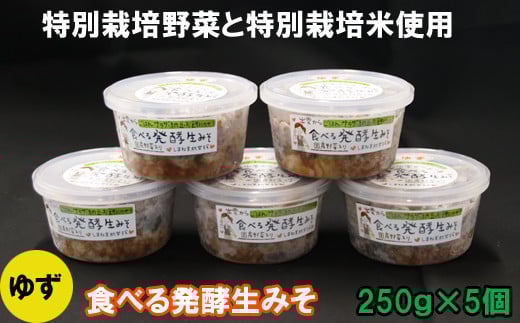 出雲のゆず入り食べる発酵生みそ250g×5個 227829 - 島根県出雲市