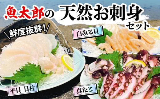 鮮度抜群！ 魚太郎 の 天然 お刺身 セット 真たこ 平貝 白みる貝 鮮魚 魚太郎 たこ焼き バターソテー 貝 かい たいらがい タイラギ 刺身 タコ 蛸 真蛸 白ミル貝 貝 かい たいらがい タイラギ 刺身 タコ 蛸 真蛸 白ミル貝 貝 かい たいらがい タイラギ 刺身 タコ 蛸 真蛸 白ミル貝 ふるさと納税刺身  貝 かい たいらがい タイラギ 刺身 タコ 蛸 真蛸 愛知県 南知多町 
