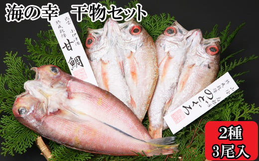海の幸干物セットC 220565 - 島根県出雲市