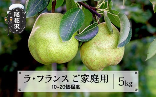 先行予約 訳あり ラ・フランス 約5kg (10~20個程度) 無印品 11月上旬頃~発送 山形県産 フルーツ 果物 くだもの 2025年産 令和7年産 佐竹物産 sb-laxxw5 2112688 - 山形県尾花沢市
