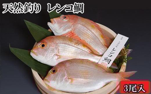 天然釣りレンコ鯛(下処理済) 220493 - 島根県出雲市
