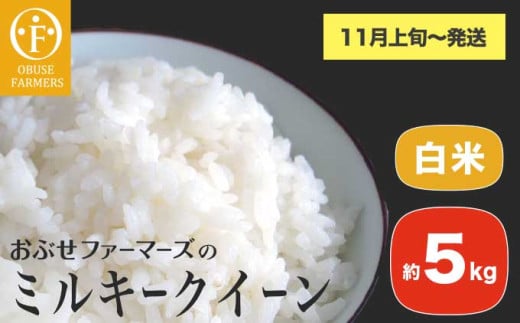 ミルキークイーン 白米 約5kg ［ おぶせファーマーズ ］お米 コメ おこめ ご飯 精米 長野県産 【2025年11月上旬～発送】 [FK-23] 
