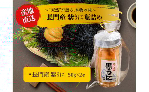 紫うに 瓶詰め 50g 2本 山口県 長門市産 地物 国産 冷凍 