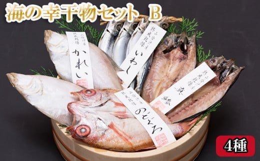 海の幸干物セットＢ 220492 - 島根県出雲市