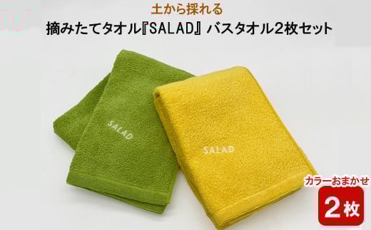 土から採れる 摘みたてタオル 『SALAD』 バスタオル 2枚セット 1255549 - 島根県出雲市