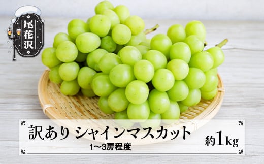 先行予約 訳あり シャインマスカット 約1kg (1~3房程度) 無印品 9月上旬頃~発送 山形県産 フルーツ 果物 ぶどう 葡萄 ブドウ 2025年産 令和7年産 佐竹物産 sb-busmw1000 2112690 - 山形県尾花沢市