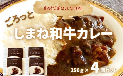 ごろっとしまね和牛カレー　4食セット 669387 - 島根県出雲市