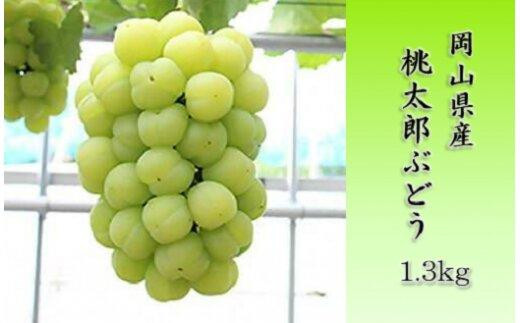 桃太郎ぶどう 1.3kg [限定300セット]