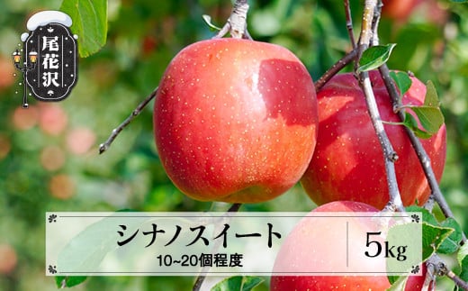 先行予約 りんご シナノスイート 5kg (10～20個程度) 秀品 10月中旬頃~発送 2025年産 令和7年産 山形県産  フルーツ 果物 佐竹物産 sb-rissx5 2112684 - 山形県尾花沢市