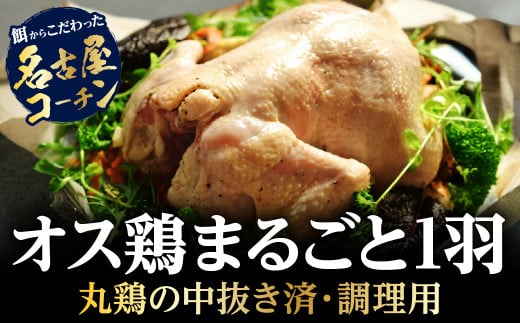 名古屋コーチン 丹波ささやま地鶏 1羽丸鶏 中抜き(未調理)「クリスマス ローストチキン 参鶏湯 ダッジオーブンで丸焼きなどに!」 兵庫県 丹波篠山市 鶏肉 とり肉 鳥肉 チキン 地鶏 やきとり グルメ 美味しい