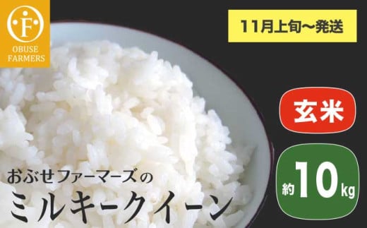 ミルキークイーン 玄米 約10kg ［ おぶせファーマーズ ］ お米 コメ おこめ ご飯 精米 長野県産 【2025年11月上旬～発送】  [FK-26]