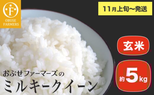 ミルキークイーン 玄米 約5kg ［ おぶせファーマーズ ］ お米 コメ おこめ ご飯 精米 長野県産 【2025年11月上旬～発送】 [FK-25]