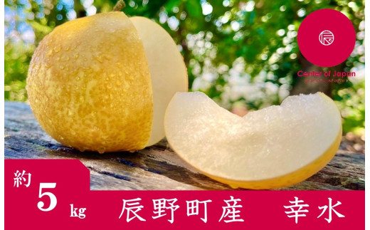 227 先行予約! 梨 幸水 ５㎏ 【野澤フルーツ農園】９月初・中発送　数量限定 666759 - 長野県辰野町