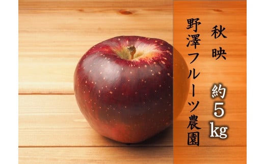 380 先行予約 りんご 秋映 ５㎏ 【野澤フルーツ農園】 9月下旬～10月中旬以降発送