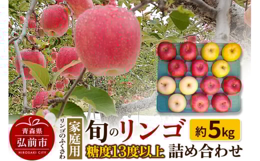 【25年9月～発送】りんご 家庭用 旬のリンゴ詰め合わせ 約5kg 糖度13度以上 684438 - 青森県弘前市