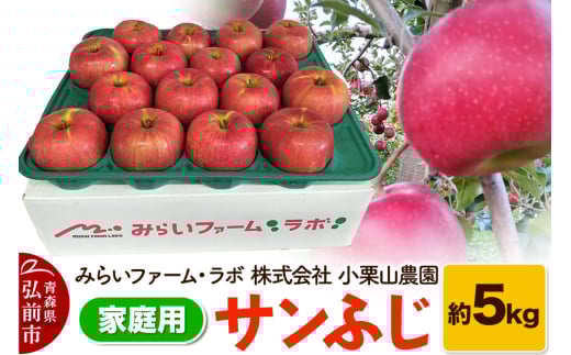 りんご【家庭用】サンふじ 約5kg 1033760 - 青森県弘前市