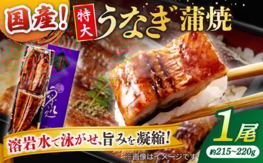 【お中元対象】うなぎ老舗専門店のパリっとふっくら国産うなぎ 蒲焼1尾(蒲焼のタレ付き) 島根県松江市/株式会社山美世商会 [ALDC003]｜国産 うなぎ ウナギ 鰻 特大 蒲焼き 蒲焼 国産 冷凍 うな重 ひつまぶし 丑の日 土用の丑の日 人気