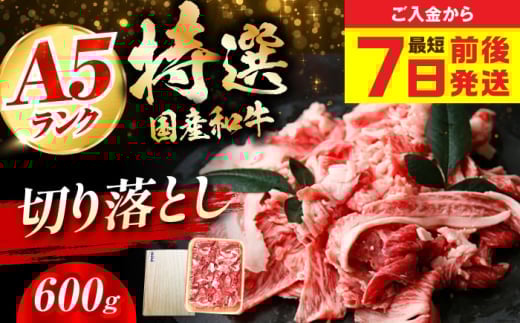 [お中元対象][スピード発送]国産和牛切落し 600g 肉 お肉 国産 和牛 切り落とし 冷凍 ギフト ストック A5ランク 大阪府高槻市/株式会社ミートモリタ屋[AOAI010]