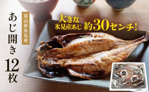 氷見産あじ開き 12枚 約30センチ！富山湾海の幸 〈冷凍〉