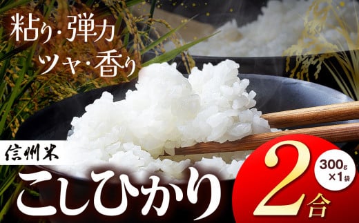 信州松本産 こしひかり 白米 2合(300g) 1袋 │信州 松本市 米 お米 コシヒカリ こしひかり アルプス 国産米 長野県産 おすすめ 白米 ふっくら 田畑 農家 ふるさと納税 松本市 美味しい 2140253 - 長野県松本市