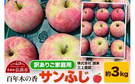 りんご【先行受付】【訳あり】家庭用 百年木の香 三上農園 サンふじ 約3kg 1603990 - 青森県弘前市