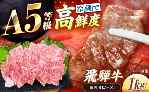 【チルド（冷蔵）発送！】 「飛騨牛」 A5等級 ロース 1kg / 牛肉 焼肉 鉄板焼き 網焼き BBQ / 恵那市 / 東美濃農業協同組合 [AUFX009]