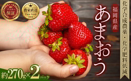 農家直送!特別栽培 あまおう 約270g前後 × 2パック ふるさと納税 いちご イチゴ 苺 赤村 果物 くだもの フルーツ ジャム にも ケーキ にも 先行予約 数量限定 ふるさと ランキング 人気 おすすめ 福岡 3W19