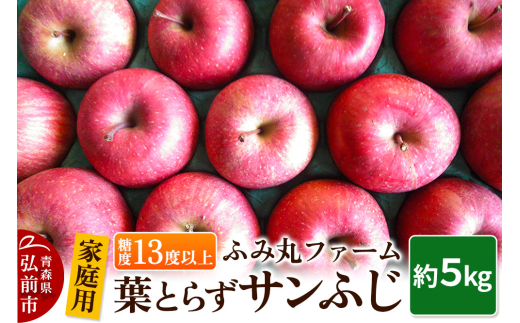 りんご【家庭用】葉とらず サンふじ 約5kg 糖度13度以上 685101 - 青森県弘前市