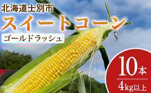 【A7094】＜期間限定＞天塩川源流スイートコーン ゴールドラッシュ (10本) 【2025年8月下旬より順次発送】北海道産 北海道 士別市 とうもろこし トウモロコシ とうきび コーン 野菜 産地直送 【三栄アグリ】 2131744 - 北海道士別市