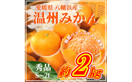 ＜先行受付＞山海の西宇和みかん約2kg(秀品)＜B81-3＞【1625063】