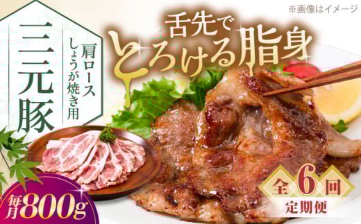 【全6回定期便】三元豚 肩ロース しょうが焼き用 800g (200g×4P)《喜茂別町》【平田牧場】 三元豚 肉 豚肉 ロース 生姜焼き スライス 冷凍 冷凍配送 定期便 北海道 平田牧場 [AJAP141] 2123456 - 北海道喜茂別町