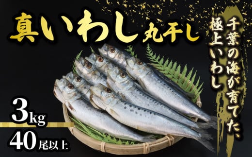 ＼最短7営業日以内発送／ いわし 丸干し 約 3kg 40尾以上 国産 千葉県産 真いわし 真鰯 イワシ スピード発送 冷凍 鰯 簡単調理 手軽 料理 和食 おすすめ ご飯 の お供 おかず 惣菜 お弁当 おつまみ 珍味 酒 ビール 日本酒 焼酎 に合う 夕食 食卓 人気 魚 海鮮 水産 水産加工品 千葉県 旭市 有限会社井上商店 ius003