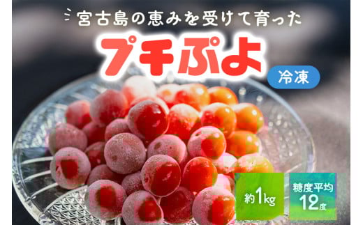 PN04　宮古島産ミニトマト【プチぷよ】冷凍　1kg