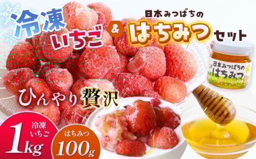 冷凍いちご と 日本みつばち の はちみつ セット | 果物 くだもの フルーツ いちご イチゴ 冷凍 蜂蜜 ハチミツ 国産 希少 セット 熊本県 玉名市