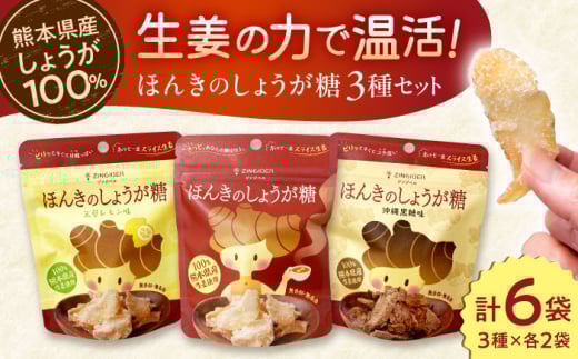 【お中元対象】ほんきのしょうが糖 3種類 味違い セット 計6袋 / しょうが糖 沖縄黒糖味 天草レモン味 各2袋 チャック付き【ジンジベル】 [AYAD012]