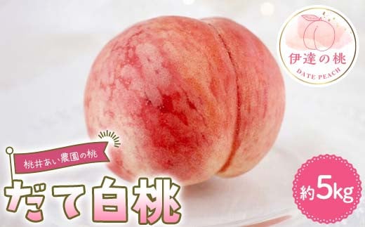 桃井あい農園の桃 だて白桃 約5kg（12~18玉）桃 もも モモ 果物 F21C-213