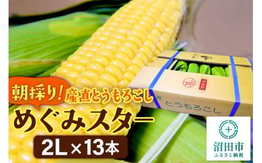 《8月上旬～下旬発送》朝採りとうもろこし めぐみスター 2Lサイズ13本【群馬県沼田市利根町産】 968956 - 群馬県沼田市