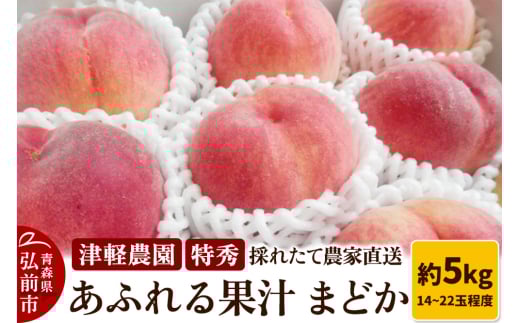 もも【2025年産 あふれる果汁 まどか】特秀 約5kg 14～22玉程度 ASIAGAP認証農場 津軽農園 採れたて 農家直送 1326576 - 青森県弘前市