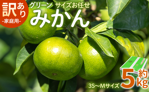 訳あり(家庭用) サイズお任せ グリーンみかん 5kg 3S〜Mサイズ - ミカン 蜜柑 柑橘 果実 果物 フルーツ ご自宅用 ジューシー 果汁 フレッシュ 旬 季節 かなや農園 合同会社Benifare 国産 特産品 高知県 香南市 常温 be-0097