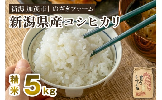 【令和7年産新米先行予約】新潟県産コシヒカリ 精米5kg（5kg×1袋）（従来品種） 《9月下旬から順次出荷》 新潟米 お米 こめ コメ ライス ご飯 白米 加茂市 のざきファーム 2131695 - 新潟県加茂市