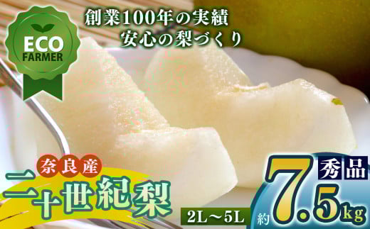 A12  【先行予約】 南陽園の二十世紀梨 半箱（約7.5kg） 2L～5L 【秀品】 | ≪数量限定≫ 梨園直送！ 期間限定 果物 くだもの フルーツ 農家直送 梨 ナシ なし 二十世紀梨 シャキシャキ もぎたて 旬 お取り寄せ 奈良県 大淀町 ※9月上旬より順次発送予定 1174657 - 奈良県大淀町
