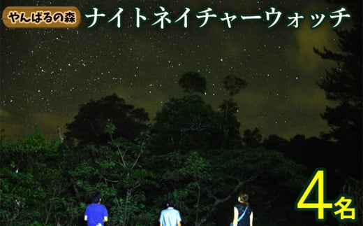 やんばるの森　ナイトネイチャーウォッチ　4名様 やんばる ナイトツアー アドベンチャー 冒険 探検 満天の星空 夜の森 ガイド付き 世界自然遺産 希少生物 やんばる国立公園 亜熱帯 ジャングル 安心 手軽に参加 非日常 特別 ヤンバルエクスペリエンス やんばる観光 東村