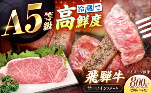 【チルド（冷蔵）発送！】 「飛騨牛」 A5等級 サーロインステーキ 200g×4枚 / 牛肉 焼肉 鉄板焼き 網焼き BBQ / 恵那市 / 東美濃農業協同組合 [AUFX013]