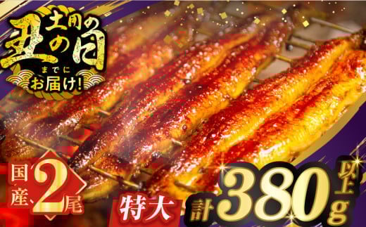 【丑の日までにお届け!!】うなぎ蒲焼特大2尾(さんしょう・たれ付き)計380g以上 鰻 魚 魚介 加工品 国産_T026-0061-US