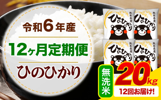 【12ヶ月定期便】令和6年産 無洗米 ひのひかり 定期便 20kg《お申込み月の翌月から出荷開始》令和6年産 熊本県産 ふるさと納税 精米 ひの 米 こめ ふるさとのうぜい ヒノヒカリ コメ お米