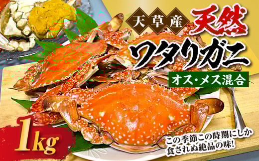 天草産 天然ワタリガニ オス・メス混合 1kg 3〜6杯 ワタリガニ 渡り蟹 蟹 かに カニ 冷凍 熊本県 上天草市